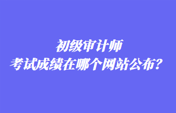 初級(jí)審計(jì)師考試成績(jī)?cè)谀膫€(gè)網(wǎng)站公布？