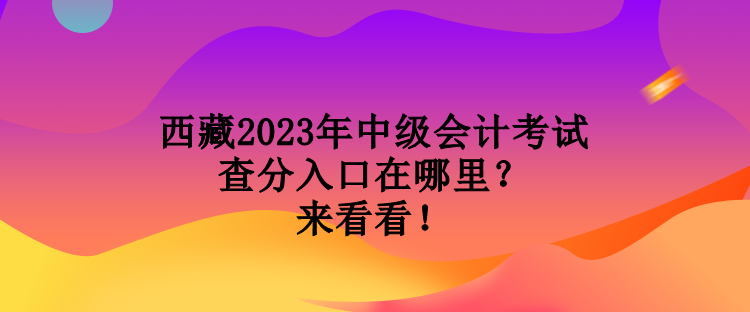 西藏2023年中級(jí)會(huì)計(jì)考試查分入口在哪里？來看看！