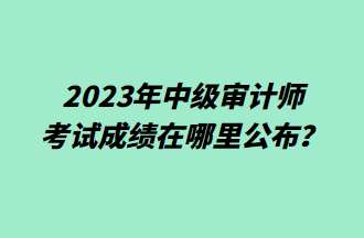 2023年中級審計(jì)師考試成績在哪里公布？