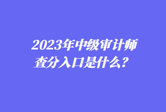 2023年中級(jí)審計(jì)師查分入口是什么？