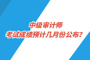 中級(jí)審計(jì)師考試成績(jī)預(yù)計(jì)幾月份公布？