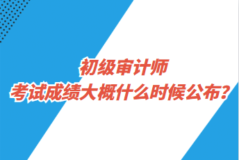 初級審計(jì)師考試成績大概什么時(shí)候公布？