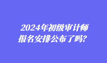 2024年初級審計師報名安排公布了嗎？