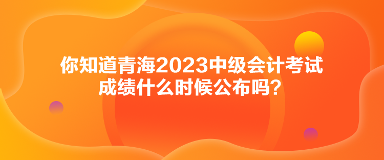 你知道青海2023中級(jí)會(huì)計(jì)考試成績什么時(shí)候公布嗎？