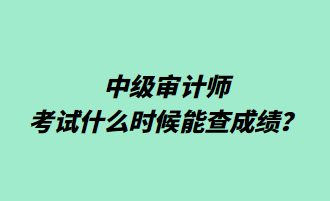 中級審計師考試什么時候能查成績？