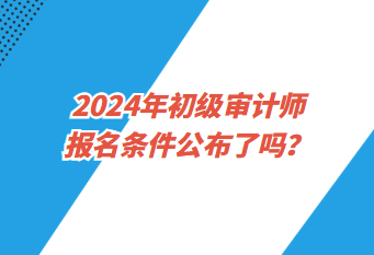 2024年初級審計師報名條件公布了嗎？