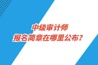 中級審計師報名簡章在哪里公布？