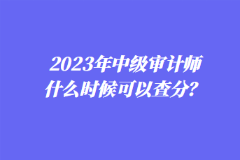 2023年中級(jí)審計(jì)師什么時(shí)候可以查分？