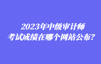 2023年中級審計(jì)師考試成績在哪個(gè)網(wǎng)站公布？