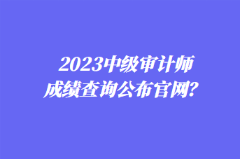 2023中級審計(jì)師成績查詢公布官網(wǎng)？