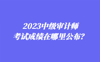 2023中級審計(jì)師考試成績在哪里公布？