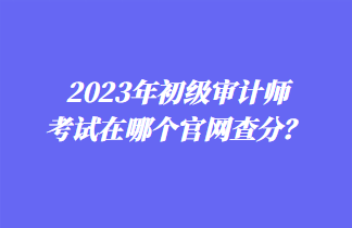 2023年初級審計師考試在哪個官網(wǎng)查分？