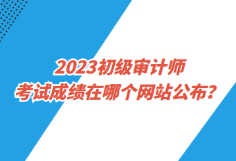 2023初級(jí)審計(jì)師考試成績?cè)谀膫€(gè)網(wǎng)站公布？