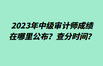 2023年中級(jí)審計(jì)師成績(jī)?cè)谀睦锕?？查分時(shí)間？