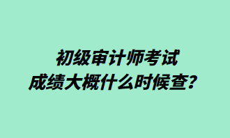 初級審計師考試成績大概什么時候查？