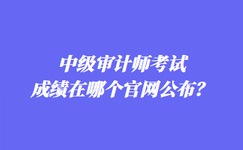 中級(jí)審計(jì)師考試成績(jī)?cè)谀膫€(gè)官網(wǎng)公布？