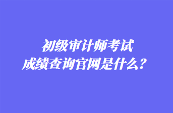 初級審計(jì)師考試成績查詢官網(wǎng)是什么？