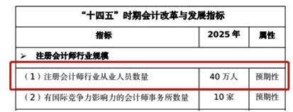 會(huì)計(jì)改革與發(fā)展“十四五”規(guī)劃綱要