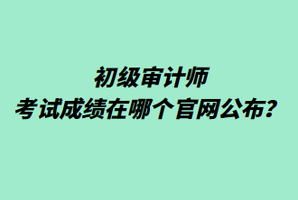 初級(jí)審計(jì)師考試成績(jī)?cè)谀膫€(gè)官網(wǎng)公布？