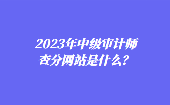 2023年中級審計師查分網(wǎng)站是什么？