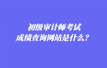 初級審計(jì)師考試成績查詢網(wǎng)站是什么？