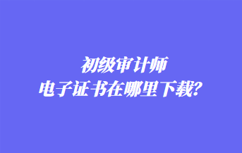 初級審計師電子證書在哪里下載？