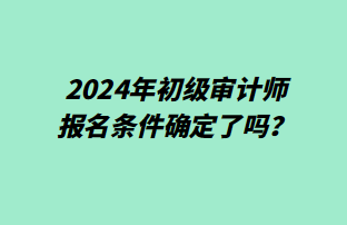 2024年初級審計師報名條件確定了嗎？