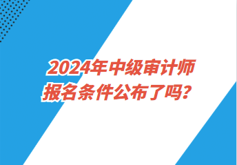 2024年中級審計師報名條件公布了嗎？