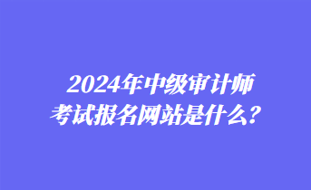 2024年中級(jí)審計(jì)師考試報(bào)名網(wǎng)站是什么？