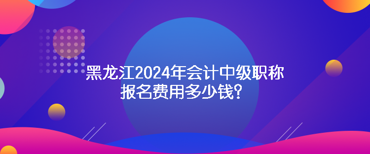 黑龍江2024年會(huì)計(jì)中級(jí)職稱(chēng)報(bào)名費(fèi)用多少錢(qián)？