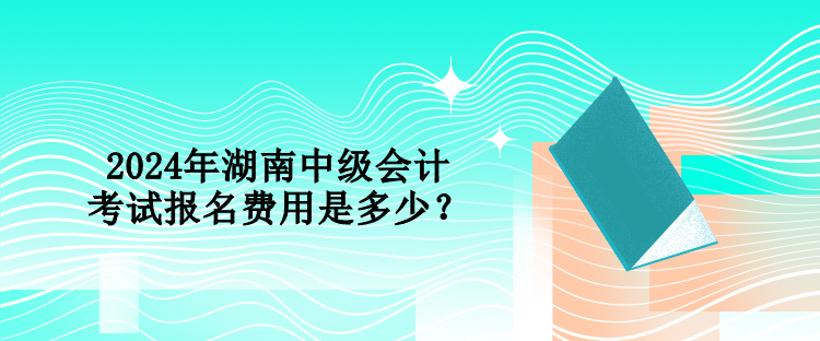 2024年湖南中級(jí)會(huì)計(jì)考試報(bào)名費(fèi)用是多少？