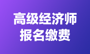 2024年貴州高級經濟師報名繳費時間&收費標準