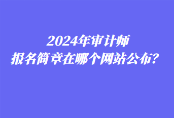 2024年審計師報名簡章在哪個網(wǎng)站公布？