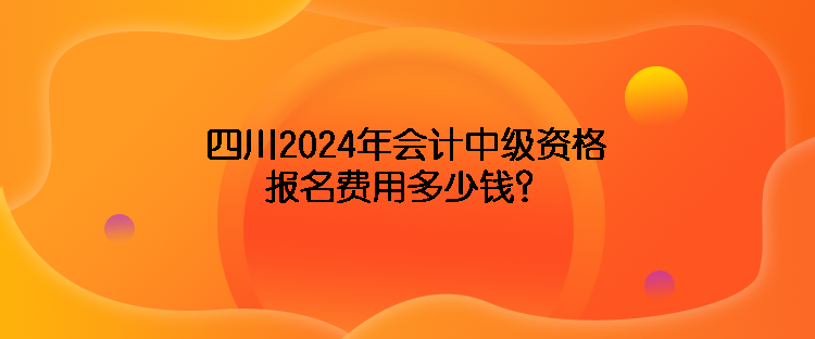 四川2024年會(huì)計(jì)中級(jí)資格報(bào)名費(fèi)用多少錢？