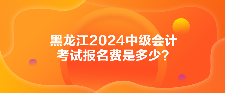 黑龍江2024中級(jí)會(huì)計(jì)考試報(bào)名費(fèi)是多少？