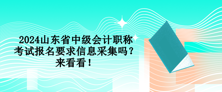 2024山東省中級會計職稱考試報名要求信息采集嗎？來看看！