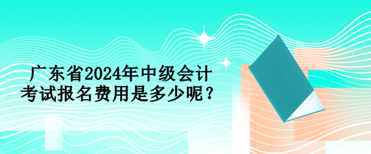 廣東省2024年中級(jí)會(huì)計(jì)考試報(bào)名費(fèi)用是多少呢？