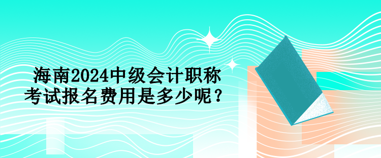 海南2024中級(jí)會(huì)計(jì)職稱考試報(bào)名費(fèi)用是多少呢？