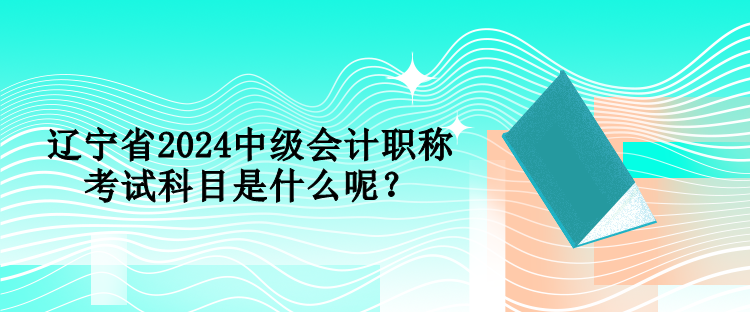 遼寧省2024中級(jí)會(huì)計(jì)職稱考試科目是什么呢？