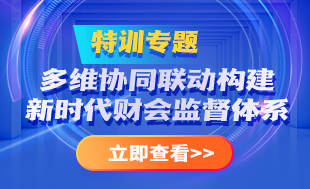 多維協同聯動構建新時代財會監(jiān)督體系